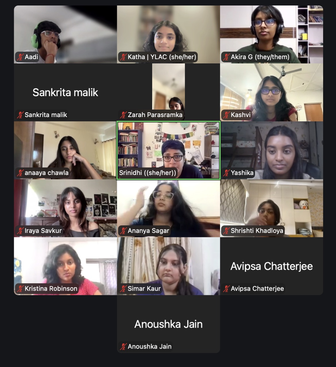 Zoom screenshot of 16 participants, most of them with their videos on and muted. In the center is Srinidhi Raghavan, who is speaking